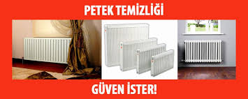 Bursa Petek Temizleme Panosundaki Pin