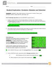 How could natural selection lead to evolution? Evolutionmutationselectionse Docx Name Angelica Riviezzo Date Student Exploration Evolution Mutation And Selection Vocabulary Adaptation Allele Allele Course Hero