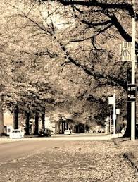 10 best lynden images lynden lynden washington whatcom county pinterest