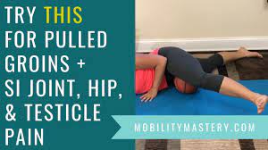 In fact, the international pelvic pain society estimates that over 25 million women suffer from chronic pelvic pain. Lower Back Pain Testicle Pain Pulled Groin Muscle Si Hip Pelvic Pain Do This Youtube