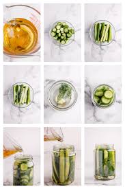 Image result for Dill