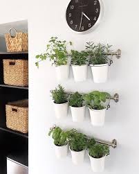 Hanging Ikea Herb Garden Outdoorherbgarden Hanging Ikea Herb Garden Garten Bedarf Garten Pflege In 2020 Herb Garden In Kitchen Outdoor Herb Garden Indoor Herb Garden