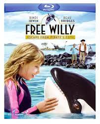 Последние твиты от bindi irwin (@bindiirwin). Free Willy Escape From Pirate S Cove Video 2010 Photo Gallery Imdb