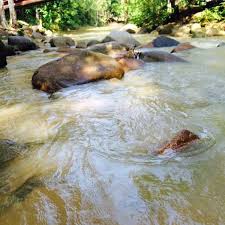 Tanto si te apetece descubrir este destino como buen turista como si prefieres moverte como un alquileres de vacaciones en kampung bendang man. Photos At Bendang Man Resort