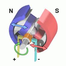 Contact squirrel cage on messenger. Electric Motor Wikipedia