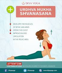 Best Yoga Teacher Training Course In Goa 2019 200 Hour Ttc Kundalini Yoga Yoga Yoga Asanas