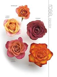 Flowers mean forgiveness, i heard a poet say, when you need forgiveness, you give her a bouquet, flowers mean forgiveness, my darling, here i stand, asking your forgiveness, with flowers in my hand. Flower Meanings