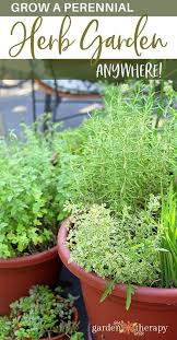 Grow Your Own Perennial Herb Container Garden Jardin De Legumes Jardinage Et Herbe