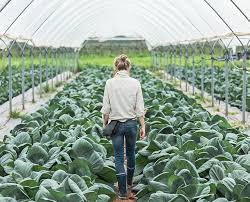 Everything You Should Know About Regenerative Agriculture Vegetable Farming Agriculture Farming Agriculture Photography
