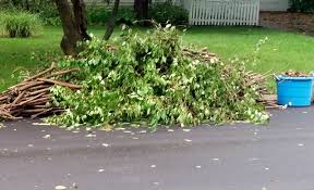 Yard waste, also known as green waste or biological waste, is any vegitative or organic waste leftover from lawn and garden landscaping. Brush Yard Waste West Lafayette Indiana