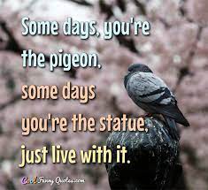 Browse +200.000 popular quotes by author, topic, profession, birthday, and more. Some Days You Re The Pigeon Some Days You Re The Statue Just Live With It