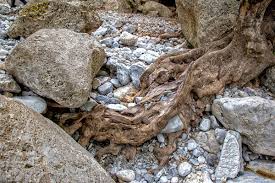 Check spelling or type a new query. Griechischer Fruhling Stonestours Die Reiseseite Von Lisi Martin