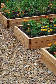 Art And Appetite Home Decor Raised Garden Backyard Garden Plants