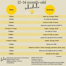 Wee Bee Dreaming Pediatric Sleep Consulting Blog — Wee Bee Dreaming  Pediatric Sleep Consulting