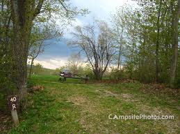 Maybe you would like to learn more about one of these? Savoy Mountain State Forest Campsite Photos Reservations Info