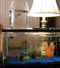 Les Aquariums Les Plus Dingues Qui Donnent Envie D Avoir Des Poissons Aquarium Diy Aquariums Aquarium Decoration