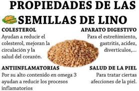 Las Semillas De Lino Estan Consideradas Como Un Superalimento Gracias A Sus Abundantes Y Eficaces Propiedades Health And Nutrition Health Food Seeds Benefits