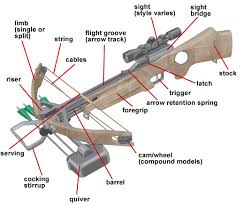 Best Crossbow For The Money 2019 155 In Field Crossbow