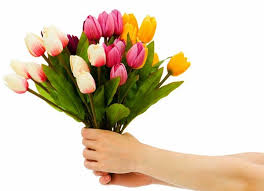 نتیجه تصویری برای گل های زیبا