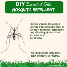 How to make a homemade fly trap that works! Homemade Mosquito Repellent Essential Oil Mosquito Repellent Spray