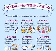 infant feeding schedule