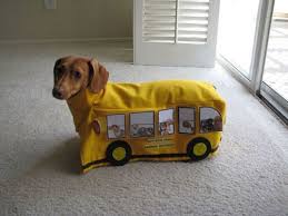 Drive Your Kids To School Community Post 24 Things Your Dachshund Can Do For You Wiener Dog Funny Animals Dog Blog