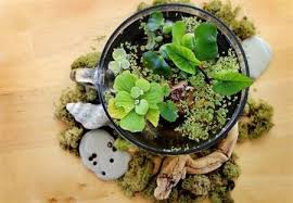 Plantas colgantes, el regreso del macramé. Decoracion Con Plantas 70 Fotos Y Consejos De Interiores Verdes