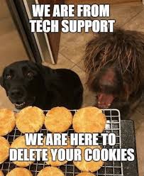 These Are The Funniest Dog Memes On The Internet It S Rosy