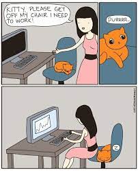 The Home Office And Cat Conundrum Cat Vs Human Crazy Cats I Love Cats