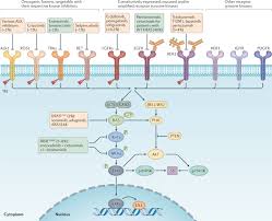 This is also referred to as advanced colon cancer or stage iv colon cancer. Precision Oncology In Metastatic Colorectal Cancer From Biology To Medicine Nature Reviews Clinical Oncology