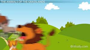 Grassland Animals Lesson For Kids Educational Videos For Kids Study Com About 0% of these are other home decor. grassland animals lesson for kids video