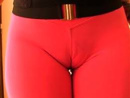 Some of these women will gradually go from camel toe to moose knuckle. Huge Cameltoe Handy Pornos Nurxxx Mobi