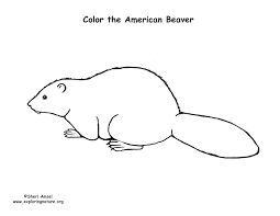 Supercoloring.com is a super fun for all ages: Beaver American Coloring Page