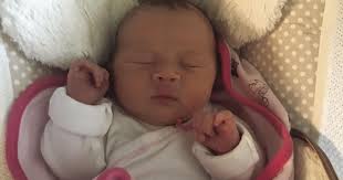 Meet Your New Neighbors!