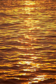 Add any golden glow to your pics. Ripples At Sunset By Carl Shaneff Printscapes Hufflepuff Aesthetic Aesthetic Colors Gold Aesthetic
