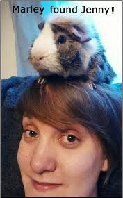 Say Cheese! 'click' We Found Homes!