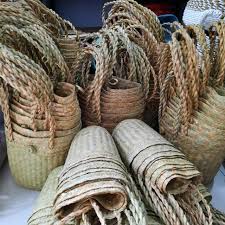 From nuconomic.com hasil kerajinan tikar pandan ini dijual dengan kisaran 50 ribu rupiah hingga 200 ribu rupiah. Purun Si Tanaman Gambut Untuk Anyaman