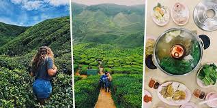 awaken your wanderlust at the majestic cameron highlands a travel guide johor now cameron highlands travel guide travel