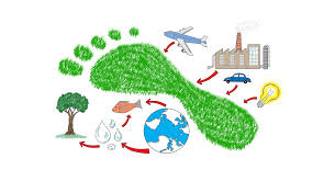 Footprint has a clear vision: Footprint By Footprint Calculating Carbon Earth911