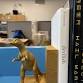 SLC Unearth an Adult Craft: Dinosaur Book End