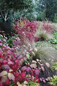 In landscaping, ninebark is used for specimen planting, foundation planting, hedges, screens, and to prevent erosion on slopes. How To Use Burgundy In Your Flower Garden