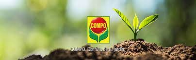 Ya que las cactáceas almacenan agua en sus tejidos. Compo Sana 8 Semanas De Abono Para Todas Las Especies De Cactus Y Suculentas Substrato De Cultivo 5 L 37x23x5 5 Cm Amazon Es Jardin