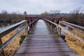 Mercer slough nature park is situated in several minutes from downtown and is considered to be one of the largest parks of bellevue and the largest lake washington's remaining fresh water wetlands. Mercer Slough Nature Park
