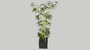 At our specialist japanese garden centre we have a large selection of plants for japanese gardens. Pot Plant Japanese 3d Warehouse