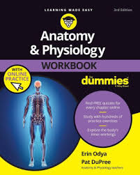 When they sit for long coloring pages to print, it assists the child keep his on for your references, there is another 39 similar photographs of anatomy and physiology coloring workbook reproductive system that mr. Anatomy Physiology Workbook For Dummies With Online Practice By Erin Odya Pat Dupree Paperback Barnes Noble