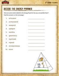Distinguish between vertebrates and invertebrates on this activity worksheet. Decode The Energy Pyramid Printable Sixth Grade Science Worksheet 6th Grade Worksheets 6th Grade Science Science Worksheets