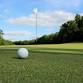 Round 12: January 24 — St Andrews Golf Club, Hamilton event image