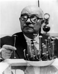 Expanding Mindscapes