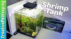 Small Aquarium Light Fluval Plant 3 0 Nano Led Shrimp Tank Aquarium Lighting Aquarium