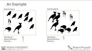 Species richness is the number of different species represented in an ecological community, landscape or region. Abundance Species Richness And Diversity Youtube